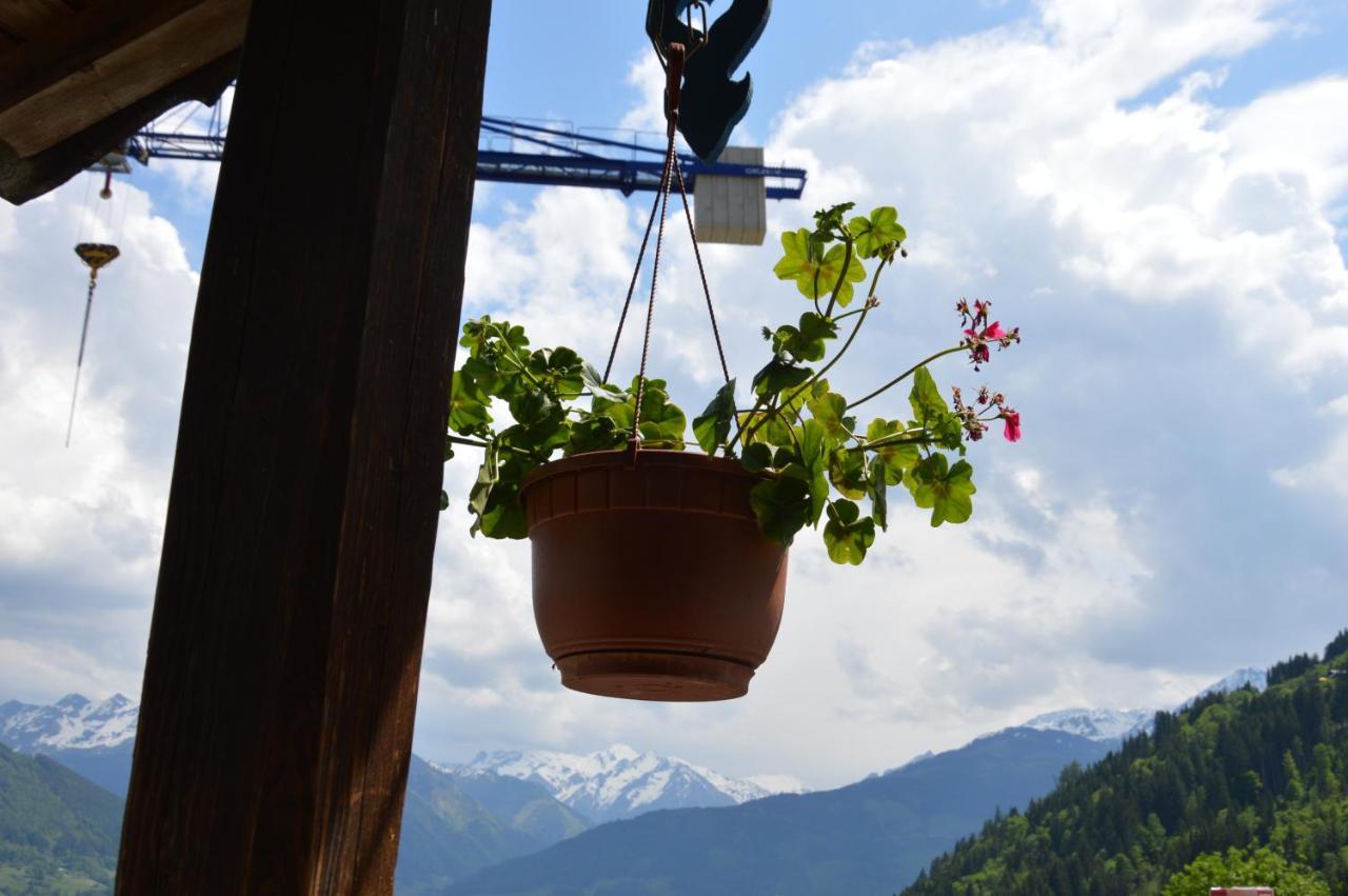 Haus Ebenberghof Lejlighed Zell am See Eksteriør billede